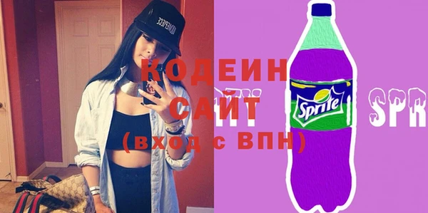 мет Алексин