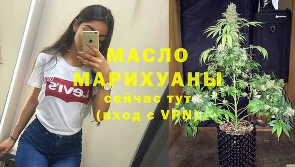 мет Алексин
