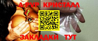 стаф Кандалакша