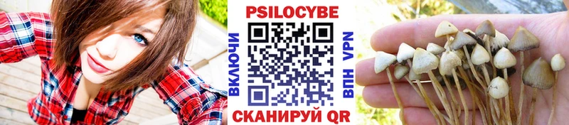 Галлюциногенные грибы MAGIC MUSHROOMS  Арзамас 