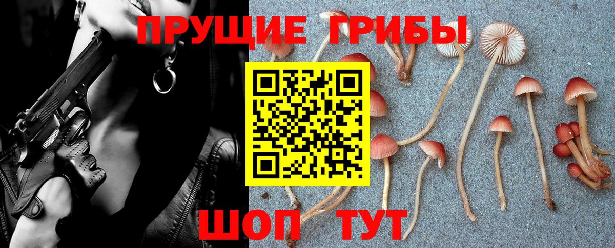 Арзамас  Псилоцибиновые грибы Magic Shrooms  Вход с VPN  Псилоцибиновые грибы MAGIC MUSHROOMS 